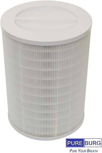 Miniatura 4 de PUREBURG Filtro de repuesto R-M003 compatible con purificador de aire RENPHO R-M003 R-M003-F1 R-M003-F2, H13 HEPA carbón activado 2 en 1 filtración
