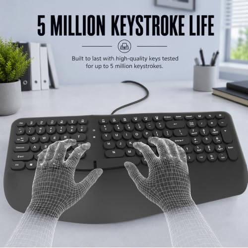 Image of ANT Master 70 Wired USB Keyboard, Full-Size 101-Key Computer Keyboard with FN + 12 Multimedia Shortcut Keys, Smooth Rubber Dome Keys, Anti-Splash Design, 5 Million Keystrokes, Windows & Linux Black