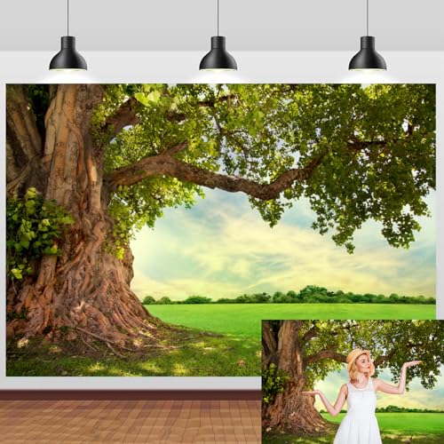 Toile de fond paysage de campagne en vinyle pour masquer un studio encombré