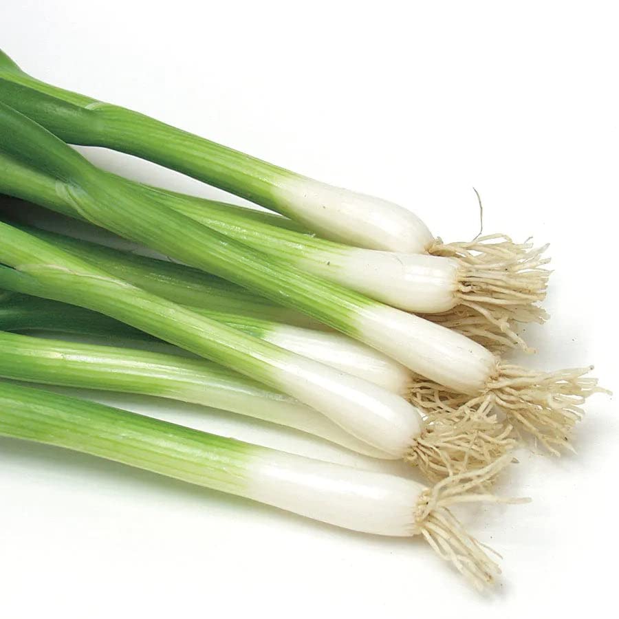 Park Seed Damast Bunching Green Onion Seed Tape Easy to Plant 2 Pack 15 Feet of Tape Each