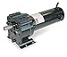 DC Gearmotor, 31 RPM, 90V, TENV