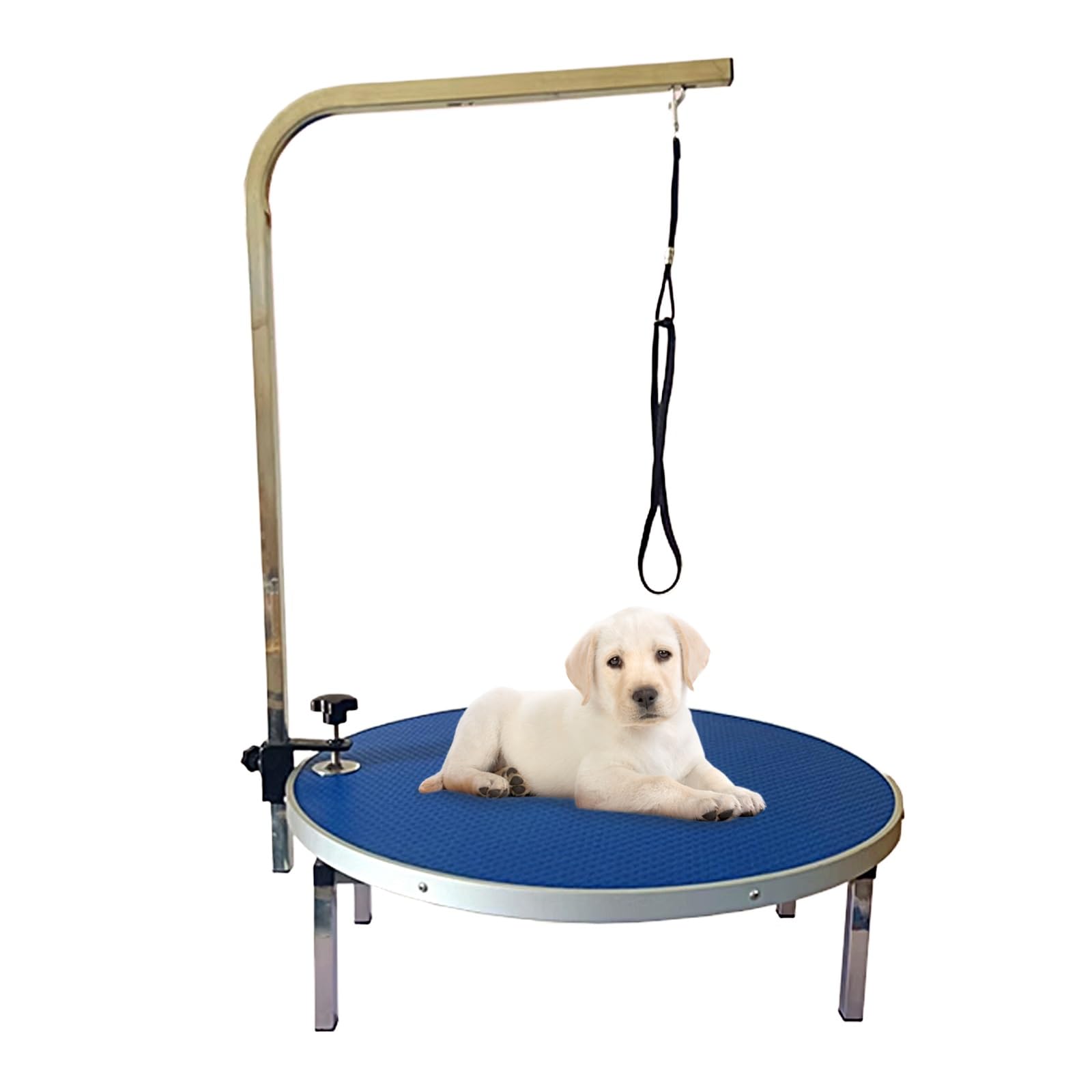 新品　トリミングテーブル　トリミング台　小型犬　トリミング　犬用品　シルバー Amazon.co.jp: 折りたたみ トリミングテーブル トリミング台 H