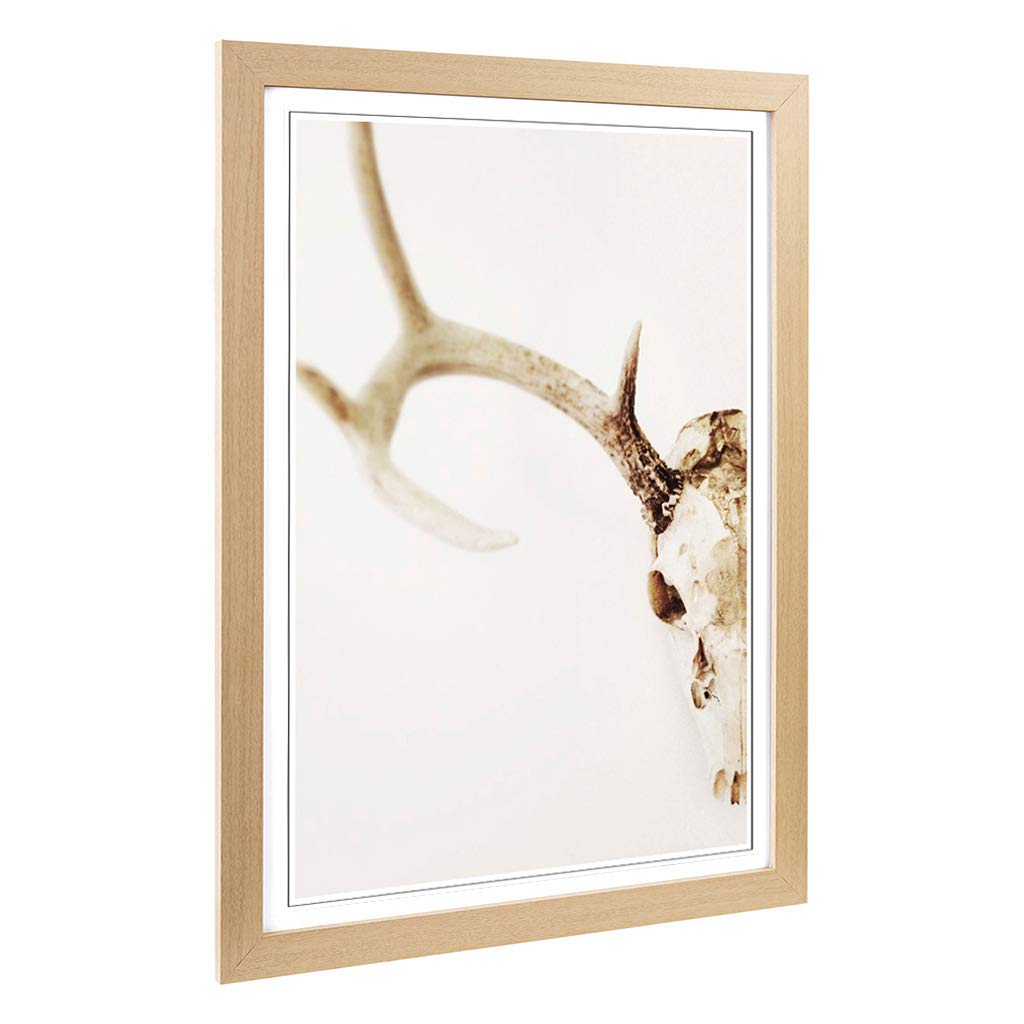 Big Box Art Framed Print of Stag Skull Design | Wall Art Picture | Home Decor for Kitchen, Living, Dining Room, Lounge, Bedroom, Hallway, Office, Oak, A2 / 24.5x18 Inch / 62x45cm