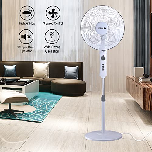 Image of IBELL STORM P10 WHITE High Speed Pedestal Fan, 5 Leaf, 406mm, 2 hour Timer, Stand fan with Copper Motor (White)