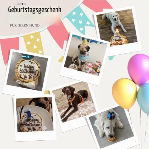 PetLove Hundetorte Happy Birthday, Geburtstagskuchen für Hunde, Rosa