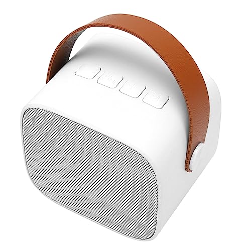 Máquina de karaokê para Festas Com Som Estéreo Multifuncional Máquina de karaokê Com 2 Microfones Se