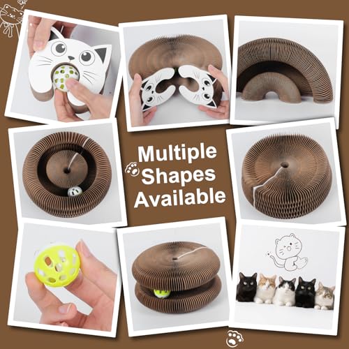 Qoosea Magische Orgel Katzenkratzbrett katzenspielzeug, Interaktive Kitten Kratzbrett Cat Toys, Magic Organ Cat Scratching Board mit Glockenball für Innen, Intelligenz Kratzpappe Katzen Spielzeug Set