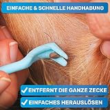BluePet 3er Set Zeckenhaken für Hunde, Katze, Pferd & Mensch I Zeckenhebel als bewährter Zeckenentferner zur Zeckenzangen I Alternative zu Zeckenpinzette, Zeckendreher, Zeckenschutz & Zeckenmittel