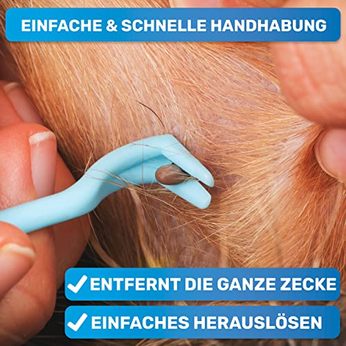 BluePet 3er Set Zeckenhaken für Hunde, Katze, Pferd & Mensch - Zeckenhebel als bewährter Zeckenentferner zur Zeckenzangen I Alternative zu Zeckenpinzette, Zeckendreher, Zeckenschutz & Zeckenmittel