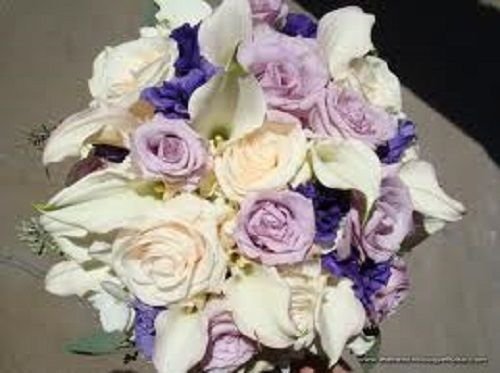 Sellify Generic 20+Seeds/Pack LISIANTHUS Lavender and White Flower Seeds Mix/Long Lasting Annual (B071RX5SGT) Amazon Price History, Amazon Price Tracker