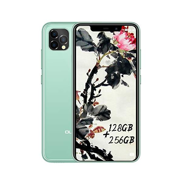 OUKITEL-C22-Unlocked-Smartphone-4G-Android-10-Triple-Cameras-Cell-Phone-4GB-128GB-Dual-SIM-4000mAh-Battery-586-Inches-13MP-Rear-Camera-Face-Fingerprint-ID-Global-LTE-Mobile-Phone-Green OUKITEL C22 Unlocked Smartphone, 4G Android 10 Triple Cameras Cell Phone, 4GB 128GB Dual SIM 4000mAh Battery 5.86 Inches 13MP Rear Camera Face Fingerprint ID Global LTE Mobile Phone (Green)