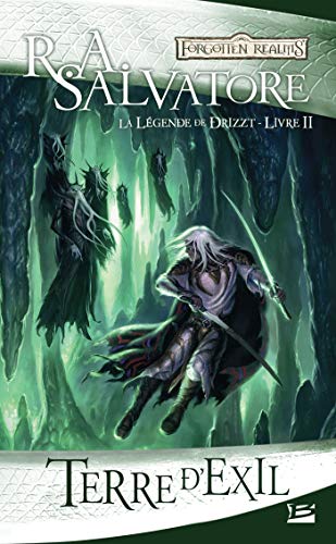 Télécharger La Légende de Drizzt, T2 : Terre d'exil Francais PDF