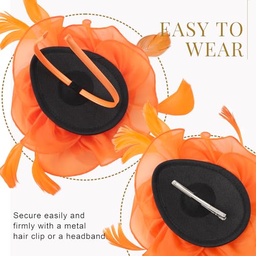 Image of DRESHOW Fascinators Hat Tea Party Headwear Ribbons Feathers on a Headband and a Clip for Women