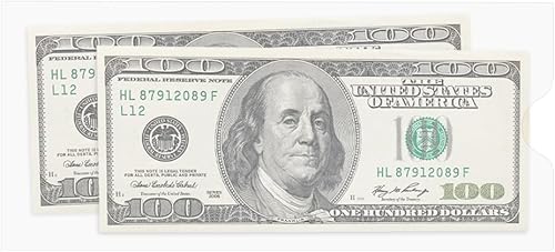 Portardocumentos de vinilo transparente, 9 pulgadas de ancho x 4 pulgadas de alto, paquete de 125 unidades, protector de páginas