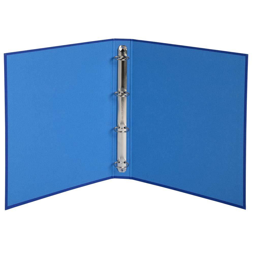Exacompta 51980E Ringbuch (Recycling-Karton, 4 Ringe, Rücken 40mm, DIN A4) 10er Pack zufällige farben