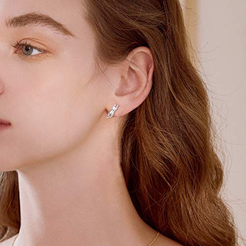 ChicSilver Hypoallergenic 925 Sterling Silver Cute Animal Earrings for Women Lovely Cat/Hedgehog/Turtle Stud Earrings for Sensitive Ears(with Gift Box)3
