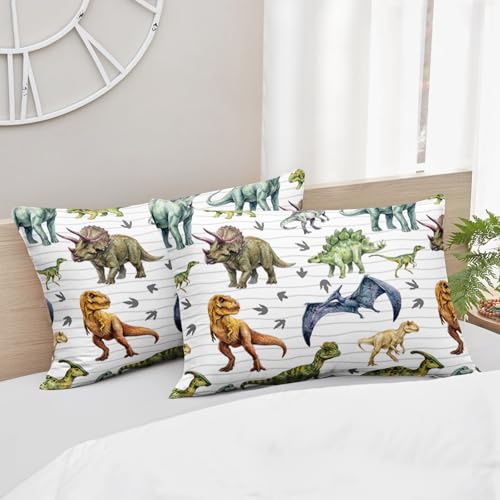 Image of QOOMO Cartoon Dinosaur Comforter for Girls Boys Jurassic Duvet Set Black Animal Bedding Set Queen Size with 2 Pillow Shams Lightweight Microfiber for All Seasons