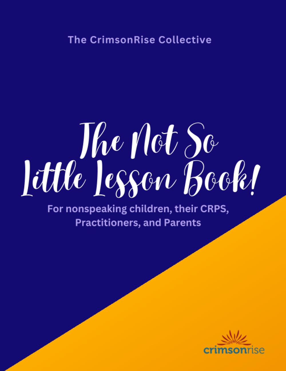 The Not So Little Lesson Book!: For nonspeaking children, their CRPS, Practitioners, and Parents