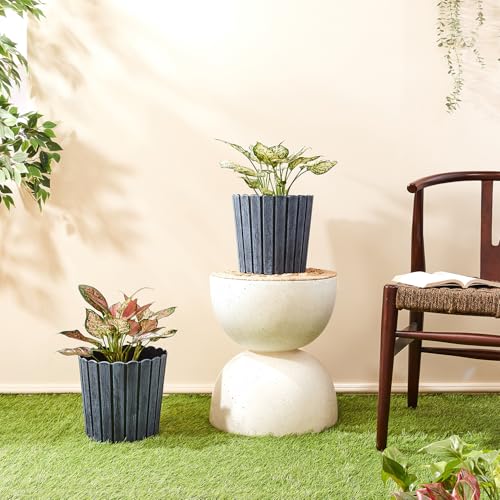 Image of Amazon Brand- Solimo Indoor and Outdoor Round 10 Inch Thai Flower Planter Pot Best for Terrace /Balcony /Home /Office Decor - Set of 2