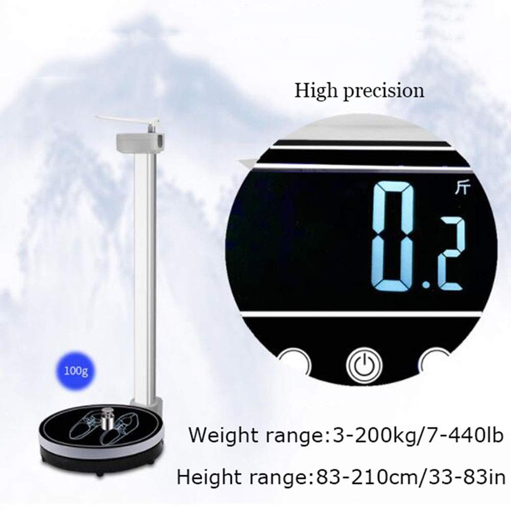 Balance Impédancemètre Numérique Professionnelle avec Mesure De La Taille
