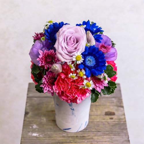 t[Xg t[AWg STCY p[v&bh b܎܃fUCi[ďC ԑ   t[ Mtg v[g 蕨 a j LO ސEj  