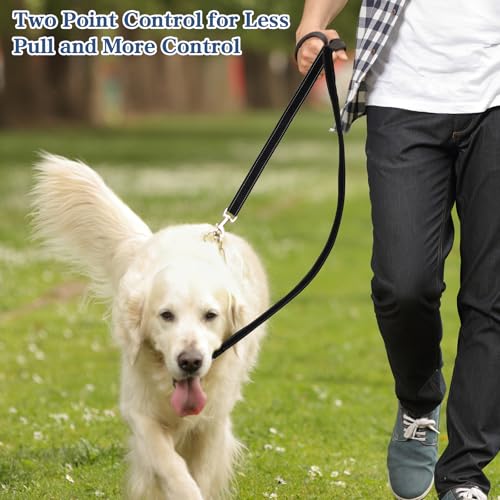 Anti-Zieh Hundeleine, Keine Verwicklung Verstellbar Hundeleine, Dog Reflektierend Leine für mittelgroße zum Spazierengehen, Führleine Hund mit Gepolsterte Handschlaufen (1,2 Meter)