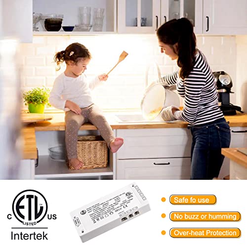 Image of VST 22W LED Power Supply, 100V-240V AC to 24V DC Low Voltage Transformer with 24V JST Ports, Compact Power Adapter for Under Cabinet and Strip Lighting, White Finish