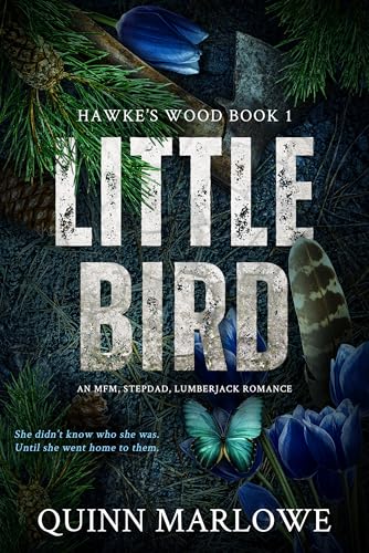 Little Bird: A Stepdad, Lumberjack, MFM Romance (Hawke's Wood Book 1)