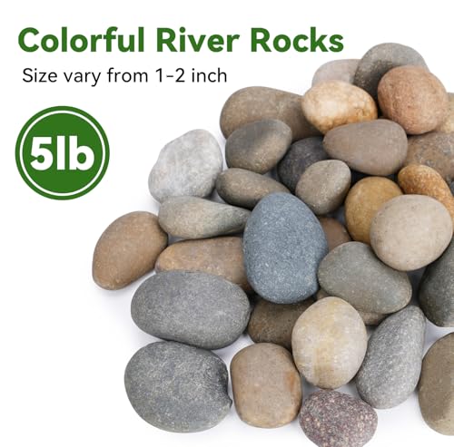 Image of Pulovin 5 lbs River Rocks for Landscaping, 1 inch-2 inch Decorative Garden Stones for Plants, Flower Pots, Vase, Walkways, Yard, Natural Rocks for Aquarium, Fish Tank