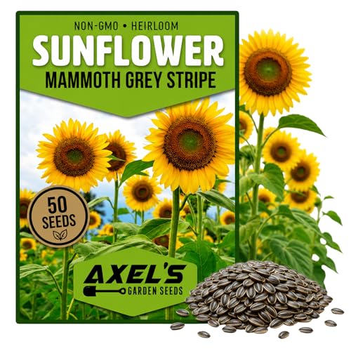 Mammoth Sunflower Seeds for Planting - Grow Giant Sun Flowers in Your Garden - Non GMO Heirloom Seeds - Full Planting Instructions for Easy Grow - Great Gardening Gifts (1 Packet)