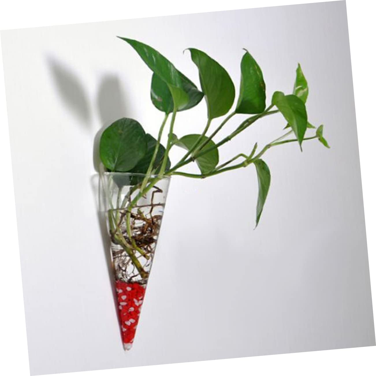 IMIKEYA 4 Ensembles Vase Mural Bourgeon Décorations D'aquarium Tubulaire Décoration D'intérieur Centres De Table Cintres pour Plantes Mur Intérieur Usine Transparent Un Verre 2 Pièces * 4