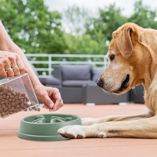 2 Stück Anti Schling Napf Hund, Antischlingnapf für Hunde, Langsame Fütterung für Kleine und Mittelgroße Haustiere, Interaktiver Napf für Slow Feeder und Katze