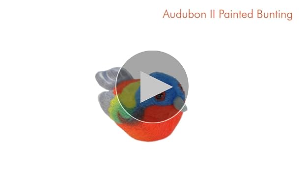 Amazon.com: Wild Republic Audubon Birds Painted Bunting