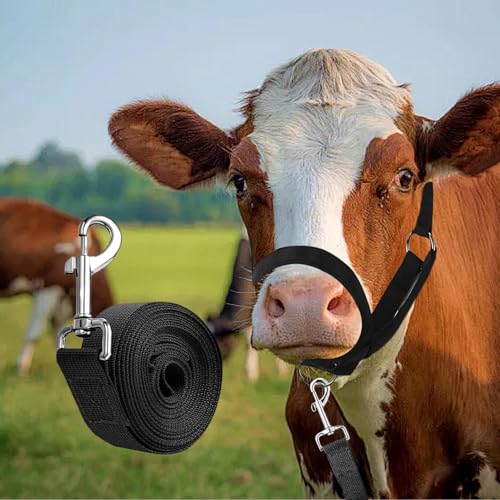 Licol de vache en nylon robuste avec corde de plomb réglable pour élevage - 4