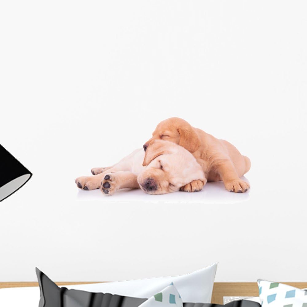 Wallmonkeys WM107368 Two Adorable Labrador Retriever Puppy Dogs Sleeping Peel and Stick Wall Decals, 18" W x 12" H-Small
