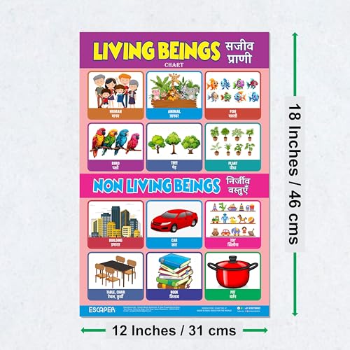Image of ESCAPER Living Beings Educational Charts for Kids, Charts for Kids Learning (11.5 x 17.5 inches), Kids Study Material, Kids Learning Books, Educational Posters