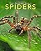 Spiders: Amazing Pictures & Fun Facts on Animals in Nature