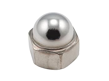 トルコ産　ゴミムシ 10mm 1点限り トルコ産 ゴミムシ 10mm 1点限り トルコ産 ゴミムシ 10mm 1点