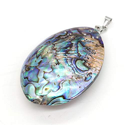 Zotoone Natural Abalone Shell Pendant,Oval Shape Gemstone Pendant Seashell Abalone Shell Pendant Charms Shell Pendant for DIY Necklace Jewelry Making 40x58mm (2 Pcs)