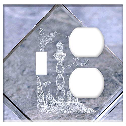 2-Gang, Toggle Outlet Combination Wall Plate Cover - Souvenir Holidays Sea Delfin Glass Ornament 1