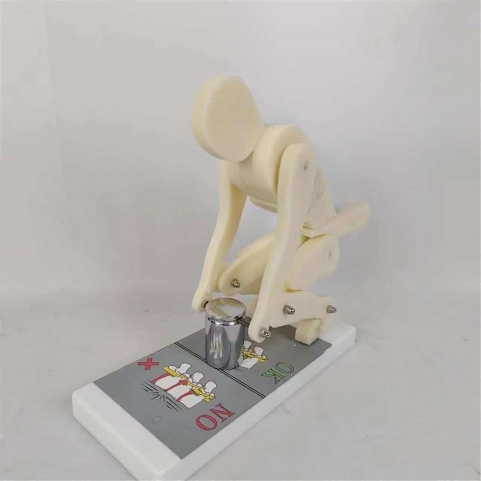 Modelo de elevación Correcta Modelo de demostración de Fuerza de la | Entrenador de postura del cuerpo humano con base, Entrenador interactivo de columna lumbar for anatomía biomecánica