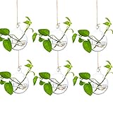[Paquete seguro incluido] - 6 x macetas colgantes de vidrio con bombilla; 6 x cuerda de hilo. Cada cuerda de hilo tiene una longitud de 100cm. (No se incluyen plantas u otros objetos decorativos en este artículo).