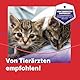 FELIWAY Friends 30 Tage Nachfüller für Pheromon Verdampfer, 48ml - Hilft Anzeichen von Stress bei Katzen und Kitten zu reduzieren, von Tierärzten empfohlen, klinisch getestet