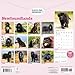 Carousel Calendars, Newfoundlands 2026 Wall Calendar, 12'' X 12'', 16-Month Calendar with Stapled Binding