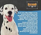 Belcando Finest Selection – Hundefutter – Junior 6x125g - getreidefreies Nassfutter mit Huhn & Ei - Premium-Welpenfutter im Frischebeutel Bundle