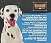 Belcando Finest Selection – Hundefutter – Junior 6x125g - getreidefreies Nassfutter mit Huhn & Ei - Premium-Welpenfutter im Frischebeutel Bundle
