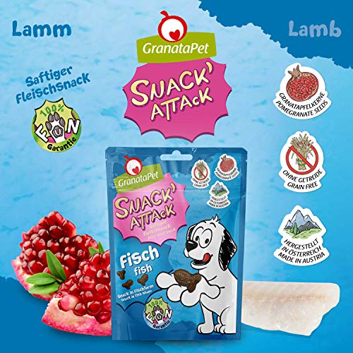 GranataPet Snack' Attack Fisch, 100 g, Hundeleckerli ohne Getreide & ohne Zuckerzusätze, Leckerchen für Hunde, weicher Hundesnack