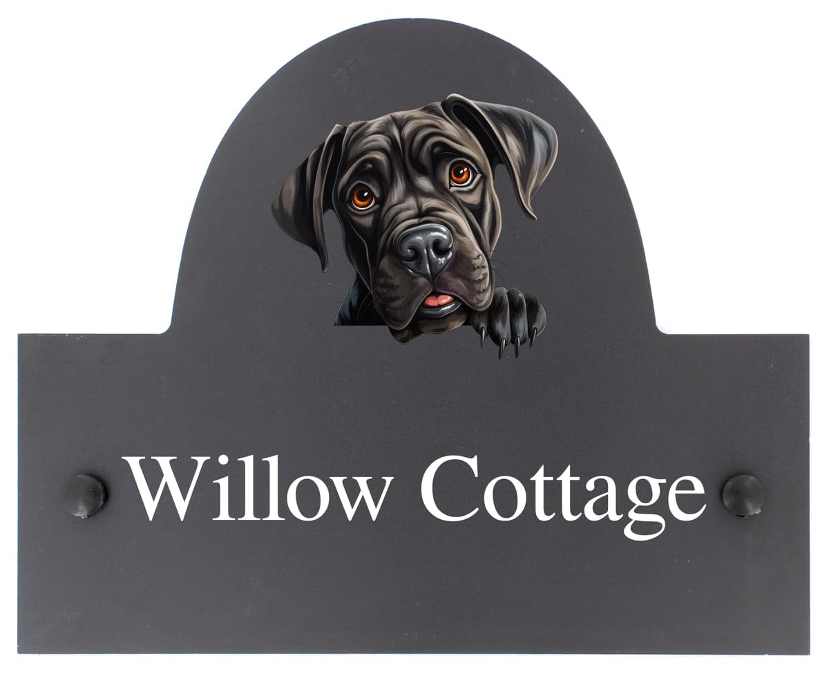 Targa personalizzabile con nome o numero civico in ardesia con cane corso, 25 x 20 cm