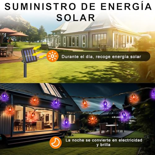 Decoración Exterior, Imagen adicional