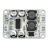 Leistungsverst？rkerchip: TPA3110